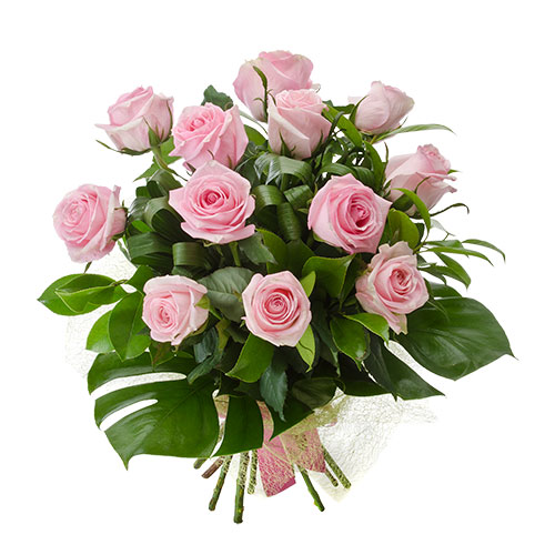 Dozen Pink Roses :: Hanging Basket Florist Rockingham